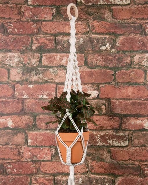Kit 4 – Macetero Colgante – Macramé - Image 3