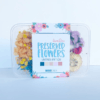 Flores Preservadas - Vintage - Miradas