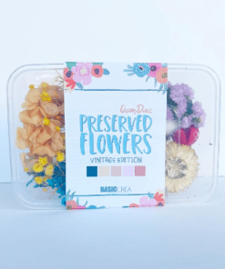 Flores Preservadas - Vintage - Miradas
