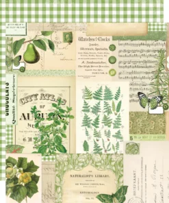 Papel 12x12 - Verde - Simple Vintage Essentials Color Palette