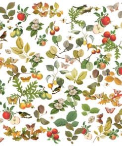 Efímeros - Laser Cuts - Wildflower - Vintage Orchard