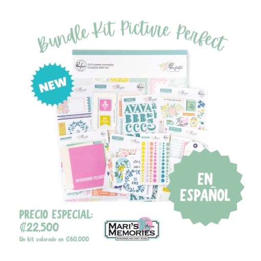 Bundle Kit Aniversario 3 - Picture Perfect - Pinkfresh