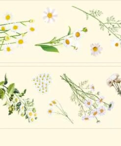 Set de Washi Tapes - Flores - Journaling - Imagen 8