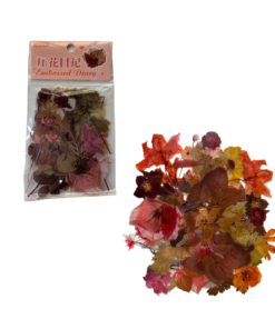 Journal Cutouts  - Flores de Otoño